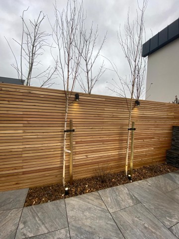 Siberian Larch 20 x 45mm P.A.R. Fencing
