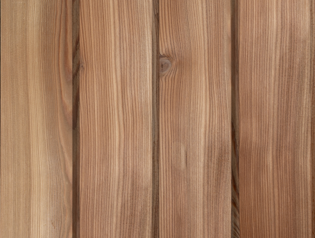Larch 20 x 144mm T.G.V. Cladding ST1.L 