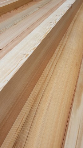 Siberian Larch 45 x 95mm P.A.R. Fencing