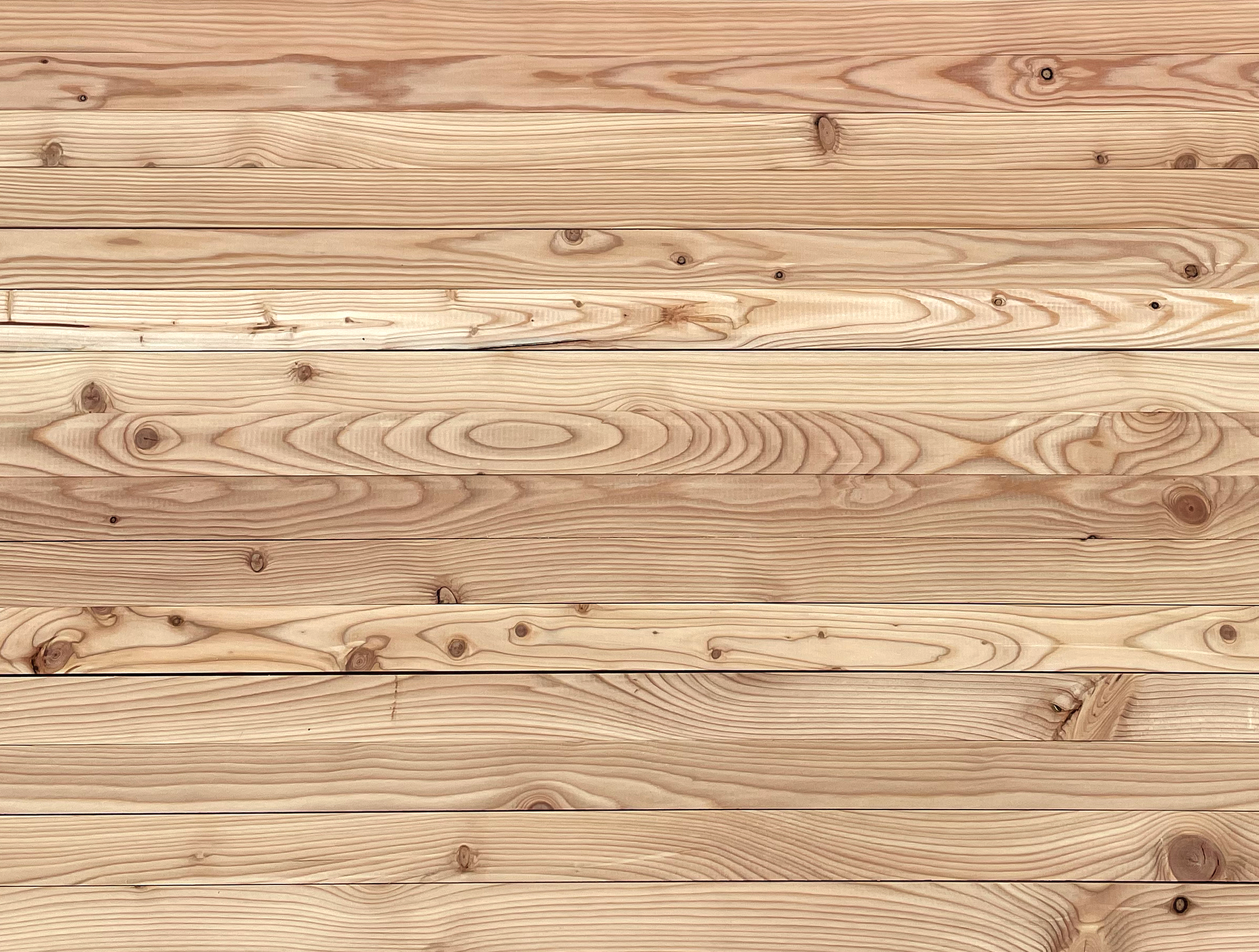 Larch 18 x 42mm PAR