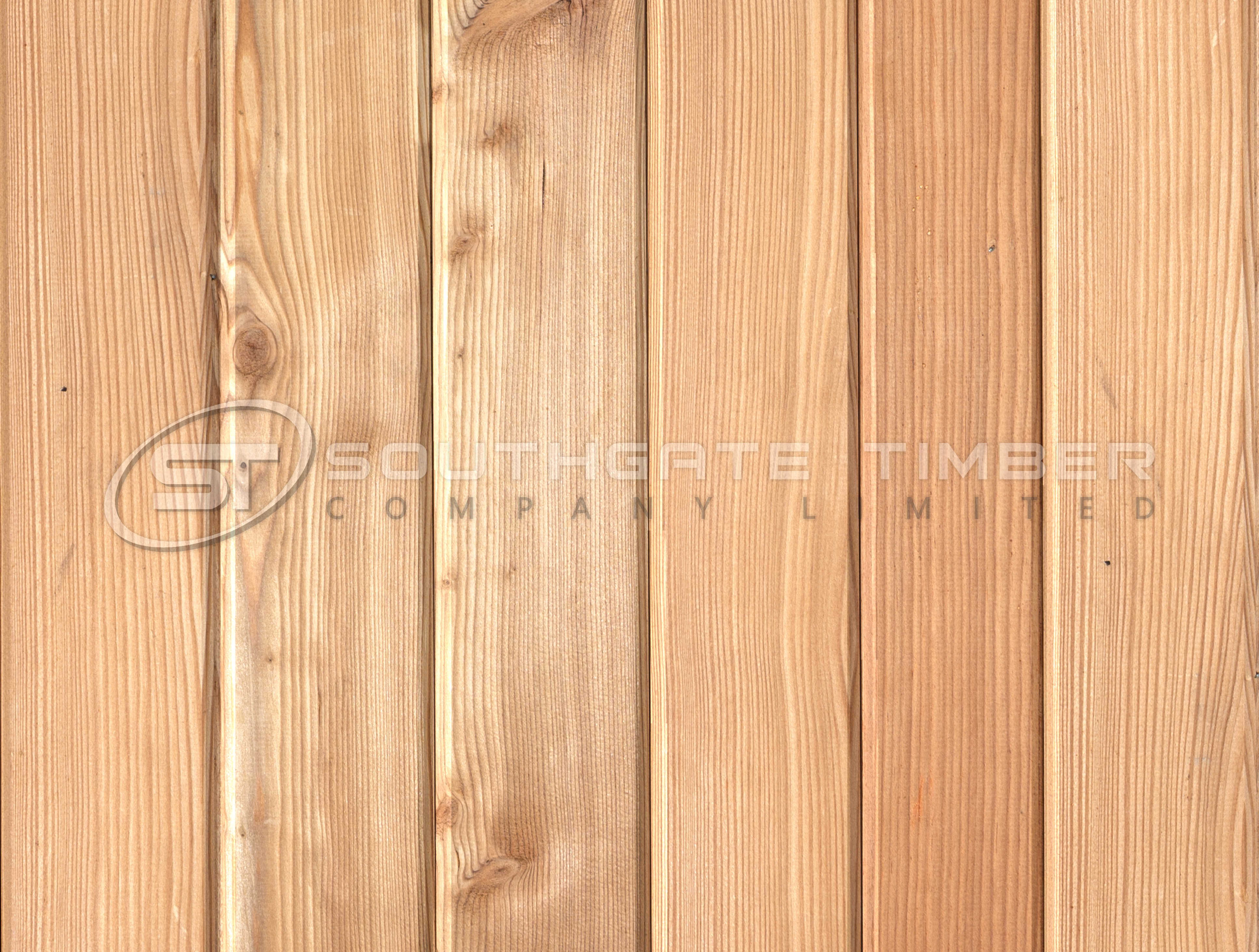Larch 20 x 95mm T.G.V. Cladding ST0.L 